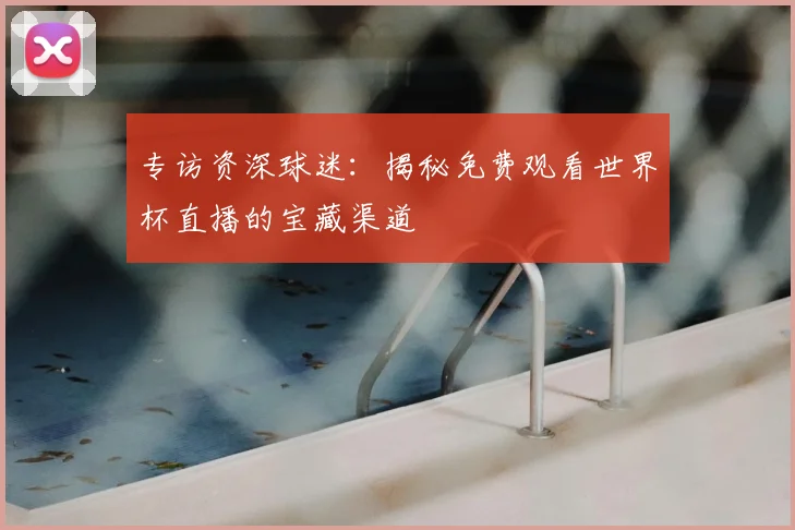 专访资深球迷:揭秘免费观看世界杯直播的宝藏渠道