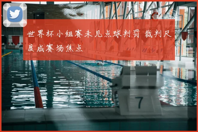 世界杯小组赛未见点球判罚 裁判尺度成赛场焦点