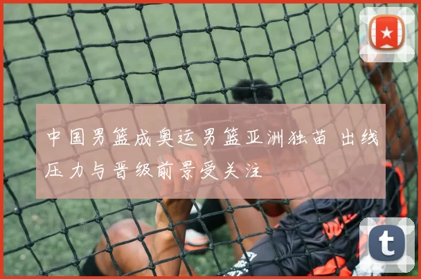 中国男篮成奥运男篮亚洲独苗 出线压力与晋级前景受关注